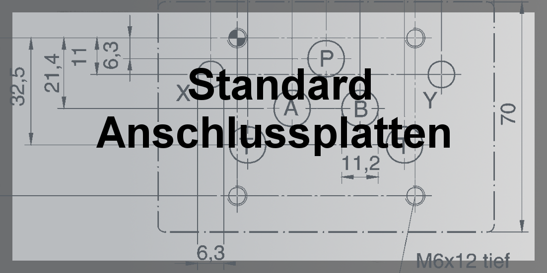Standard Anschlussplatten NG10 Einfach