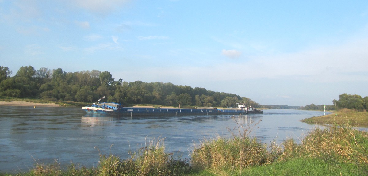 Elberadweg Elbe bei Aken