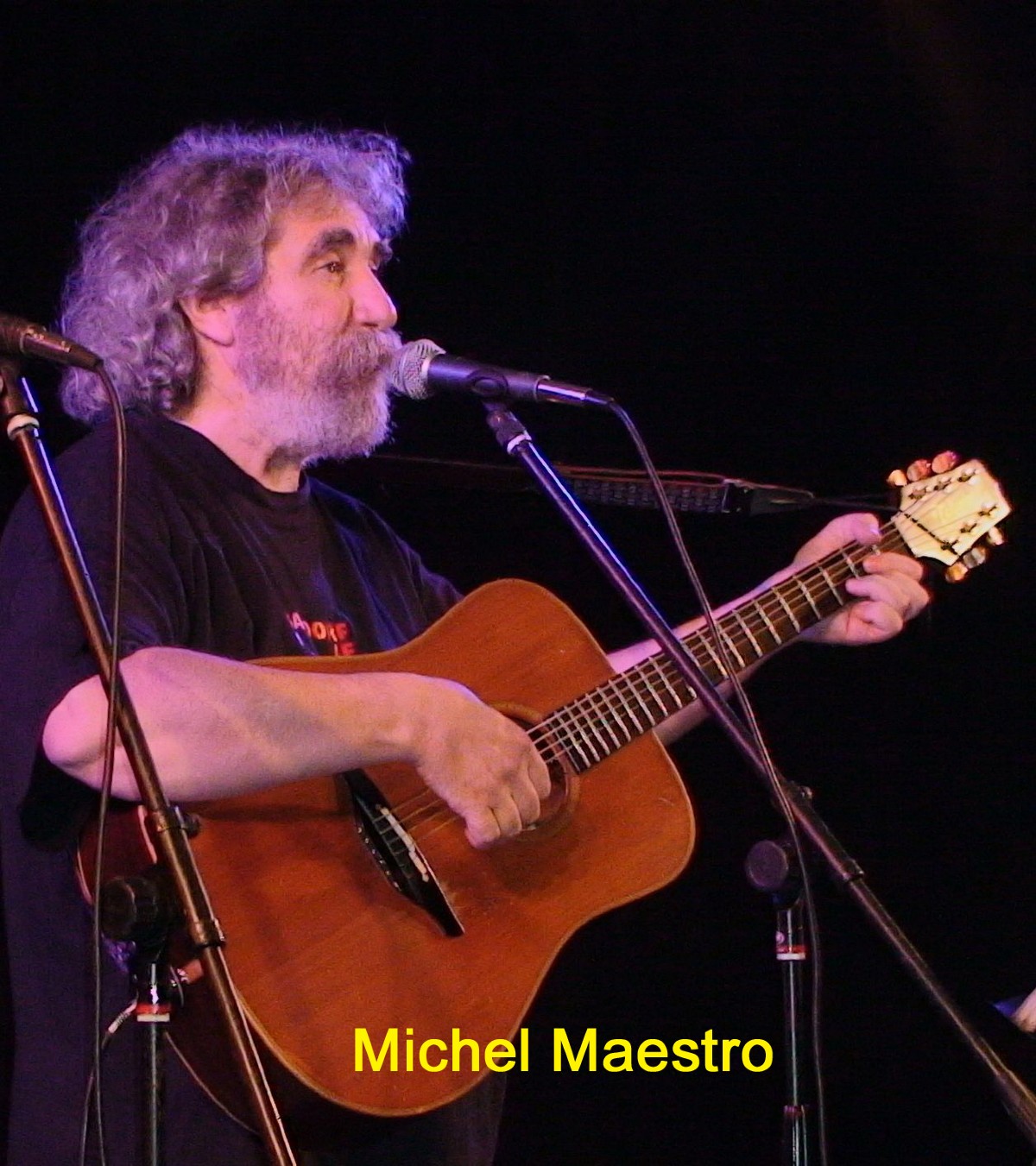 Michel Maestro