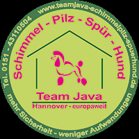 Schimmelspürhund_Hannover_Team_Java_Schellong