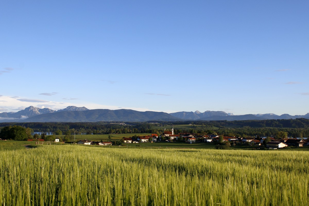 Tettenhausen