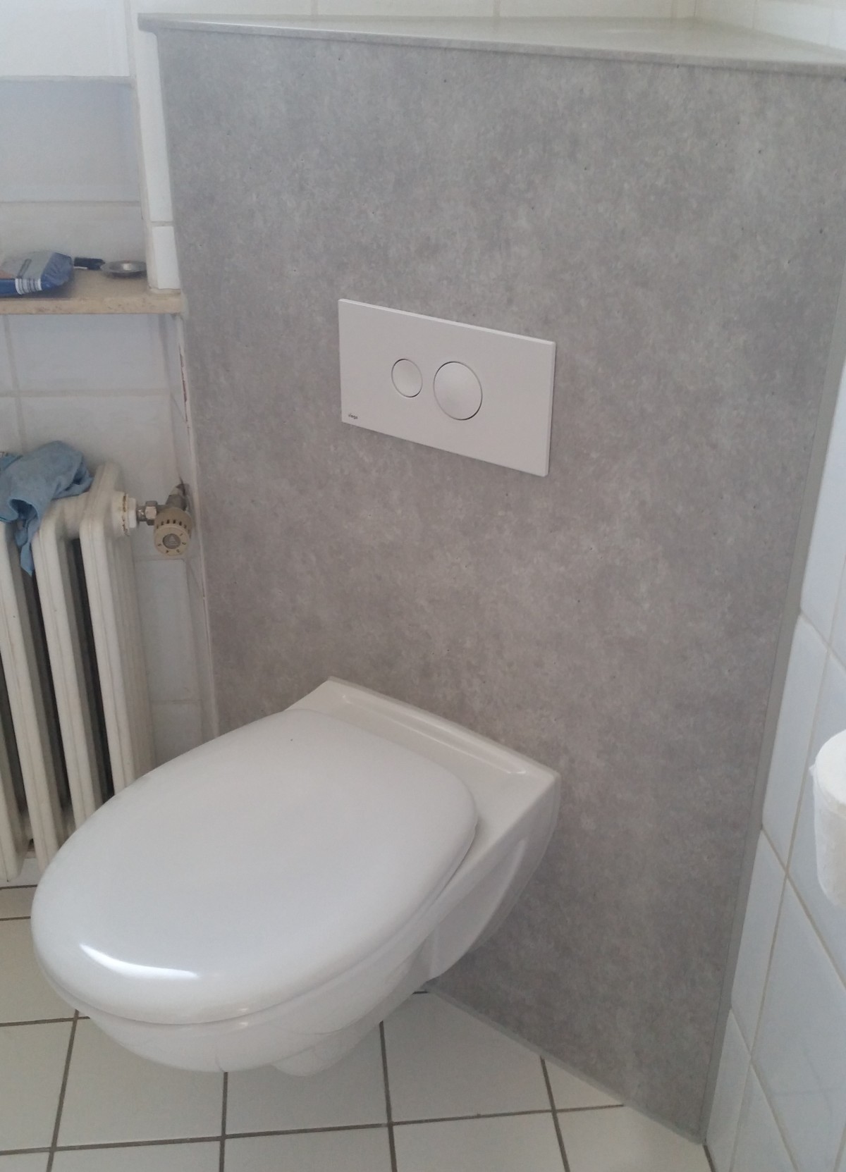 WC Toilette Sanierung