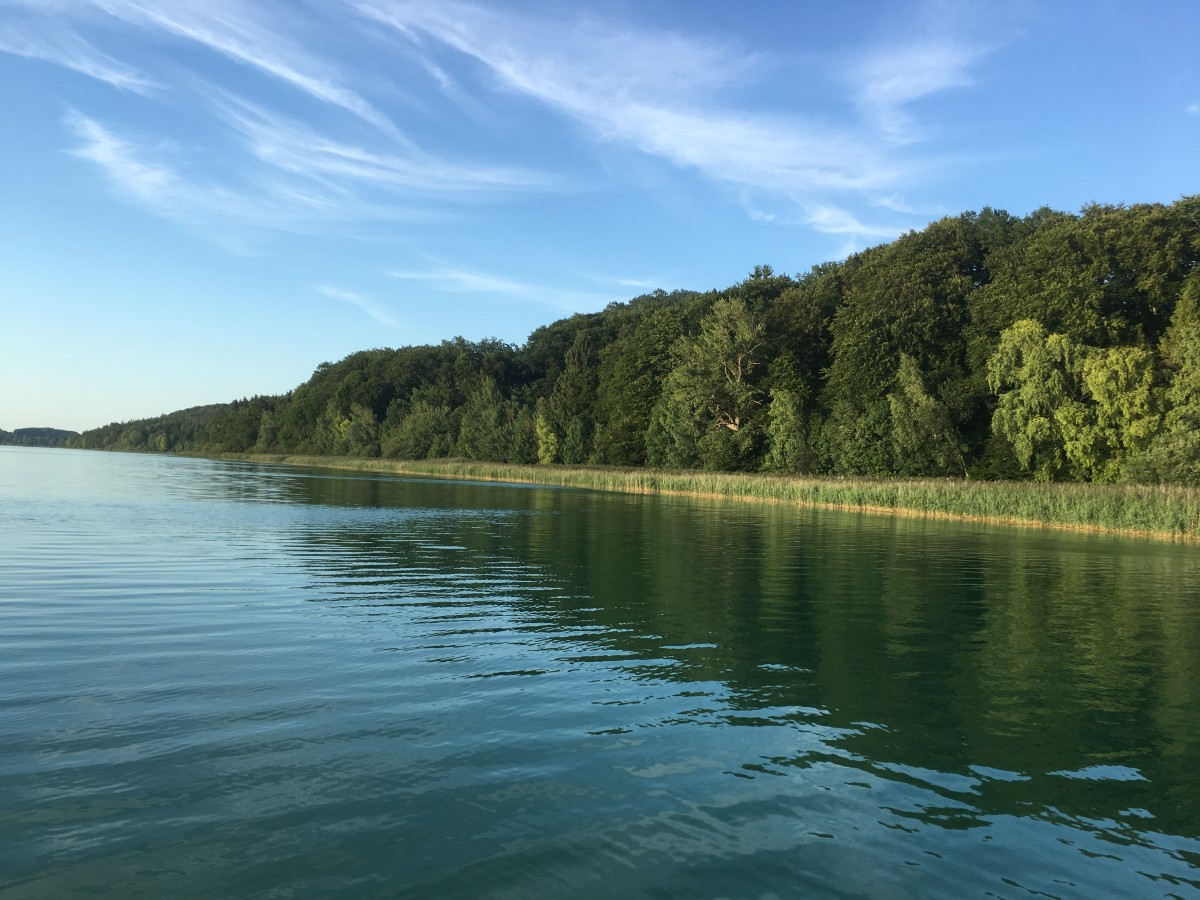 tachinger see