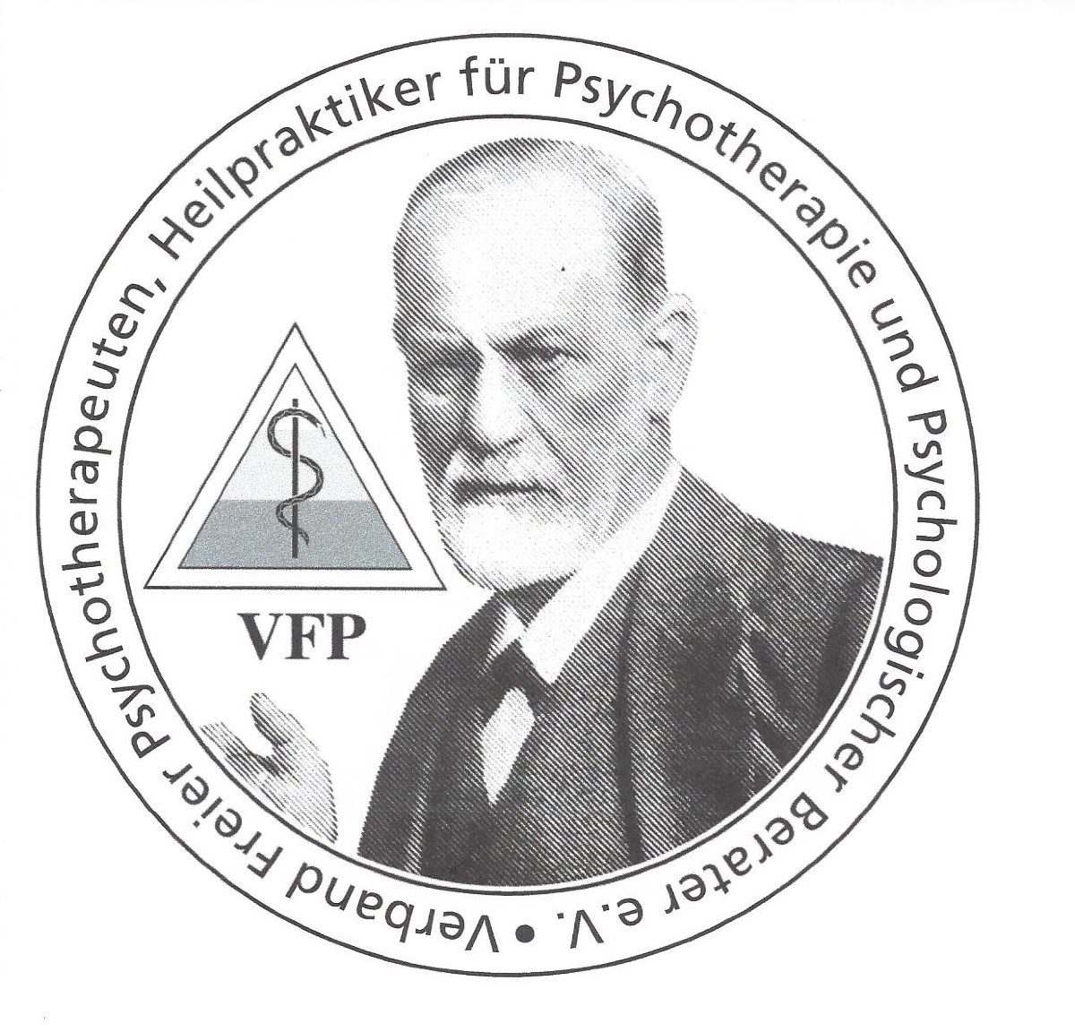 VfP Logo