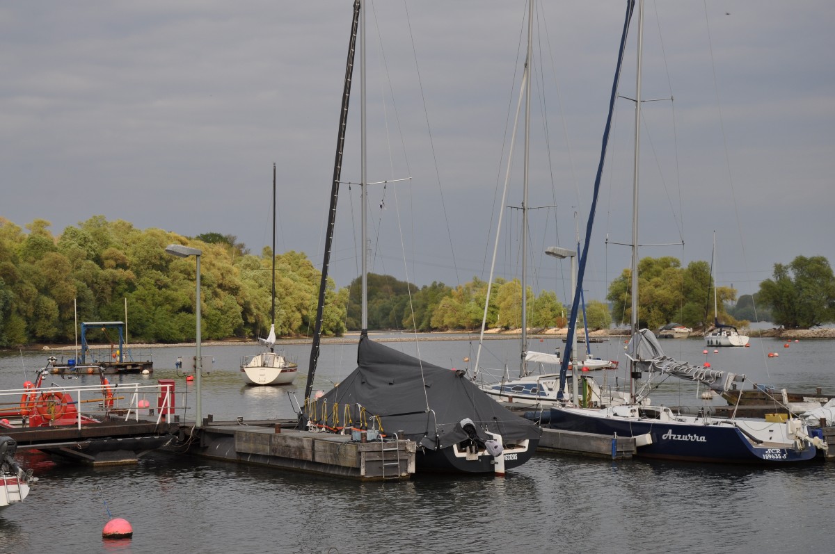 Niederwalluf, Rheinufer mit Booten