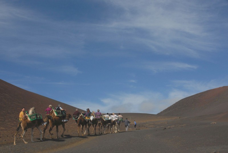Lanzarote Kamelreiten im Nationalpark