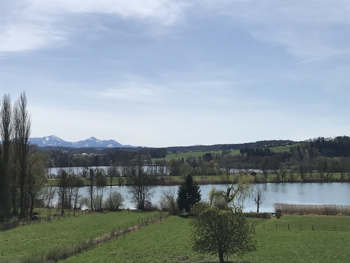 tettenhausen tachinger waginger see