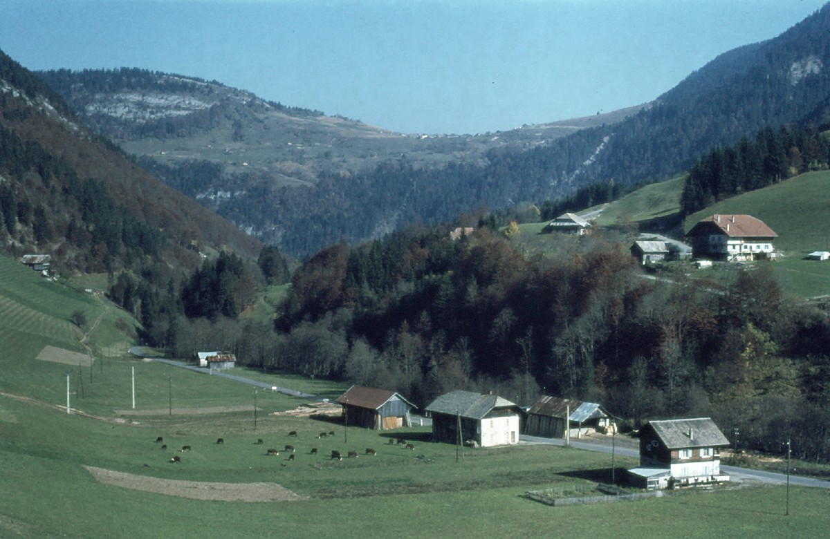Grindelwald, Bauernhöfe im Tal