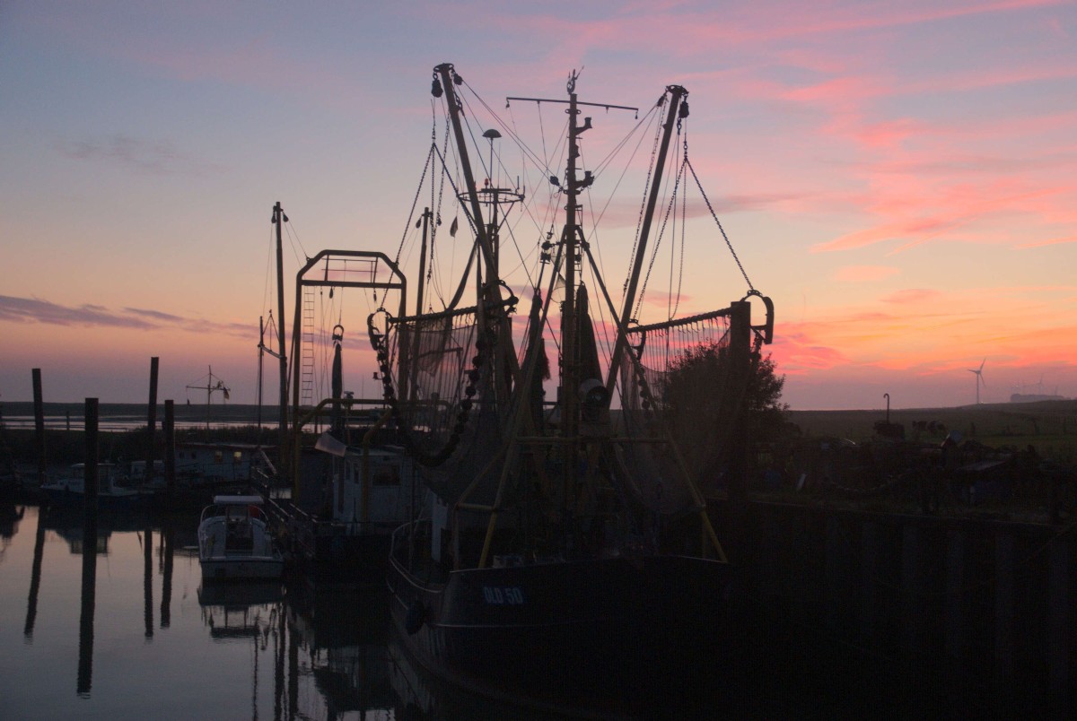 Hafen Petkum bei Emden