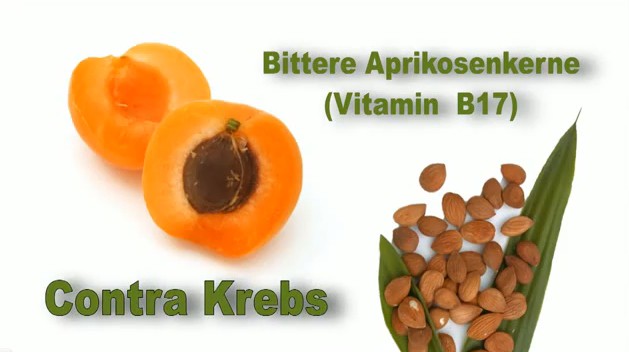 Bittere Aprikosenkerne, Vitamin B17, Krebs