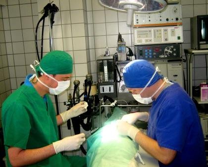 Chirurgie Kleintierpraxis Rossbach Wied