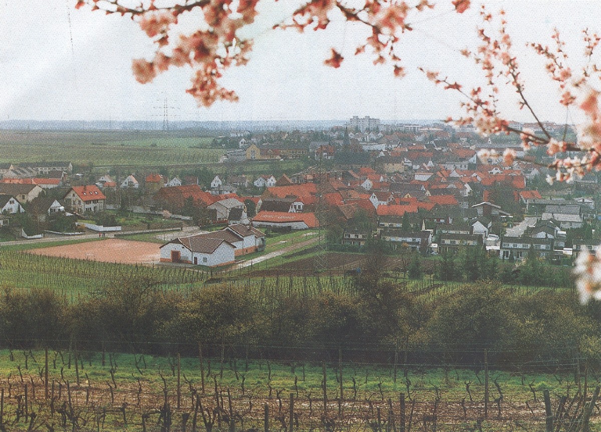 Ansicht von Asselheim