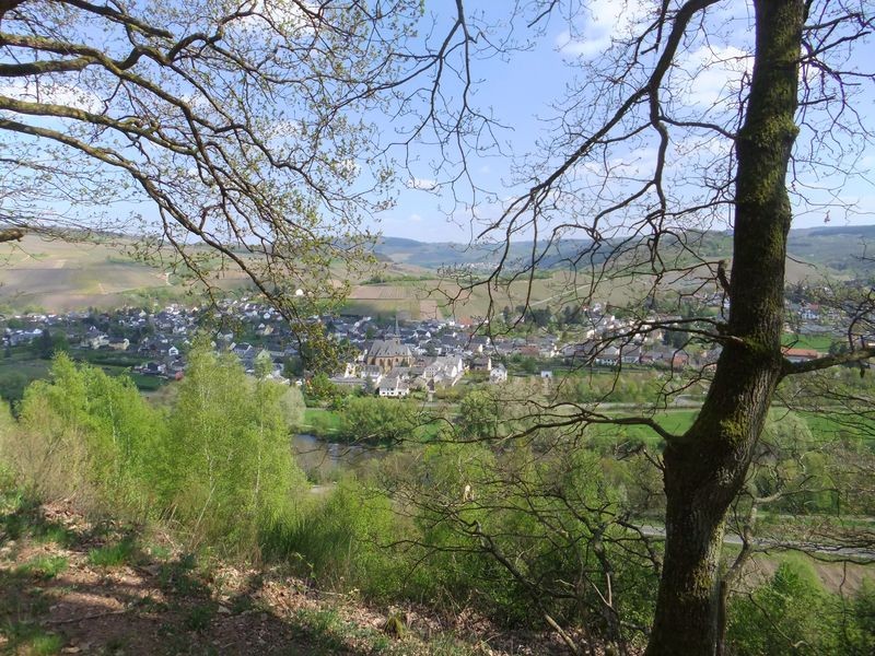 Saarweininsel Kanzem
