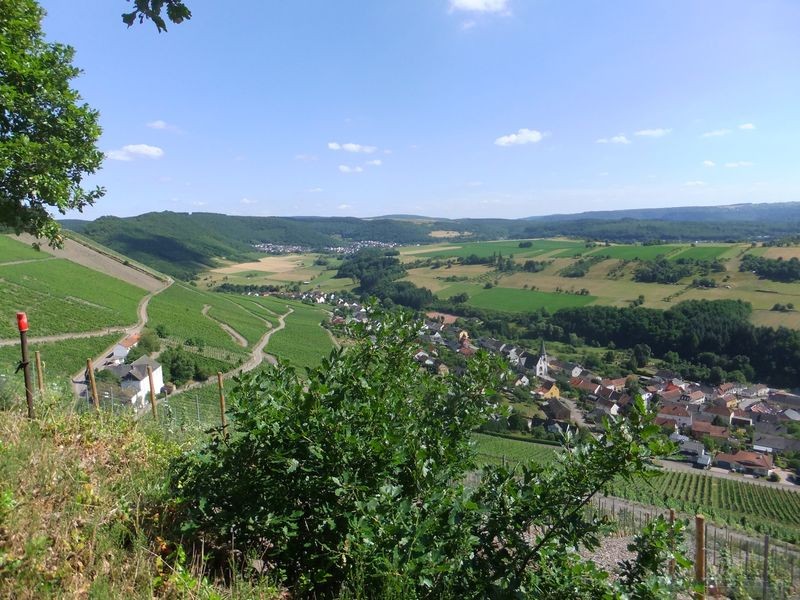 Blick auf Ockfen