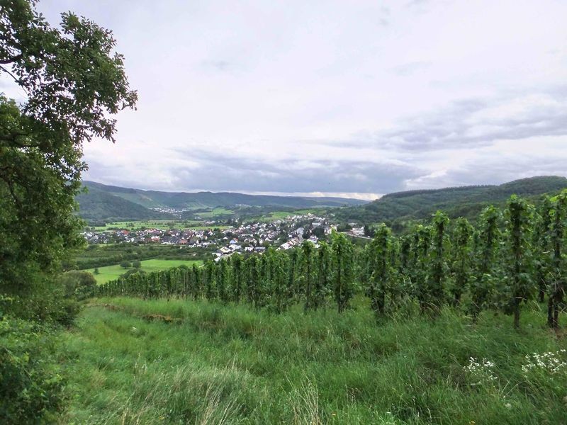Blick auf Ayl